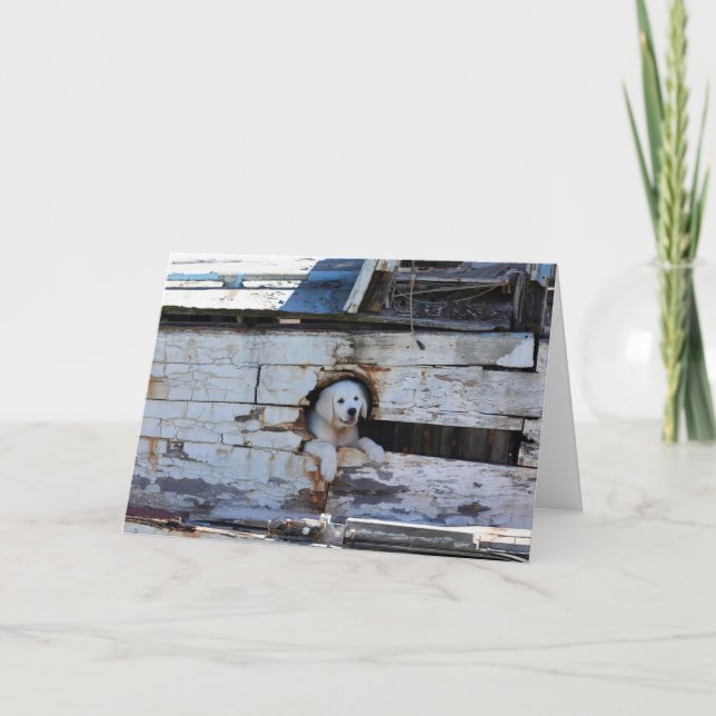 Tarjeta Ahoy Matey Feliz Día del Padre (Anverso)