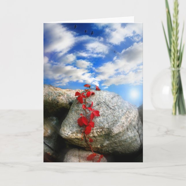 Tarjeta Aire fresco (Anverso)