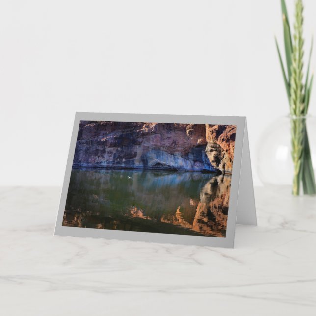 Tarjeta Ajardine el pato soleado del blanco del río de 49 (Anverso)