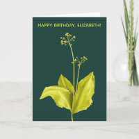 Ajo Silvestre Planta Verde Arte Botánico Cumpleaño