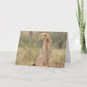 Tarjeta Ajuste natural de chita Personalización de la firm