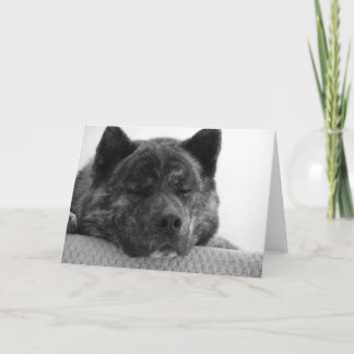 Tarjeta Akita