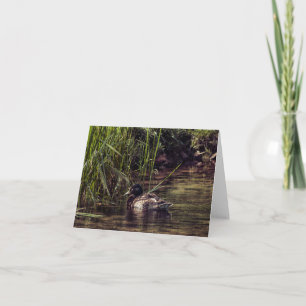 Tarjeta Al borde de Pond