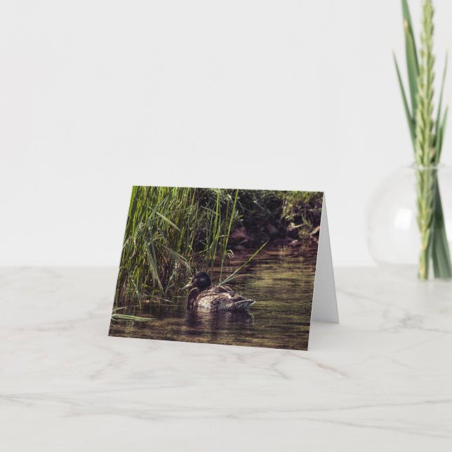 Tarjeta Al borde de Pond (Anverso)