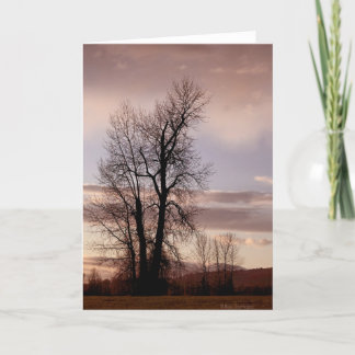 Tarjeta Al final del día