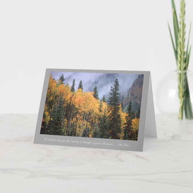Tarjeta Álamos tembloses de oro con la cita de John Muir (Anverso)