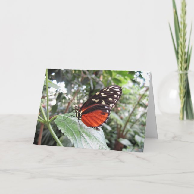 Tarjeta alas de mariposa (Anverso)