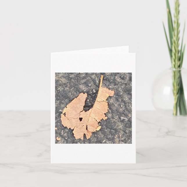 Tarjeta Albert The Leaf Squirrel 🐿️  (Anverso)