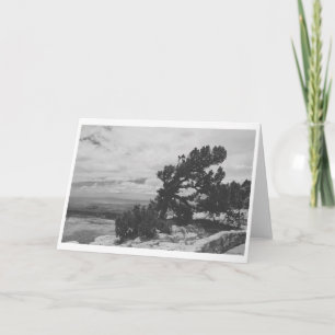 TARJETA "ALBUQUERQUE LOOKOUT"