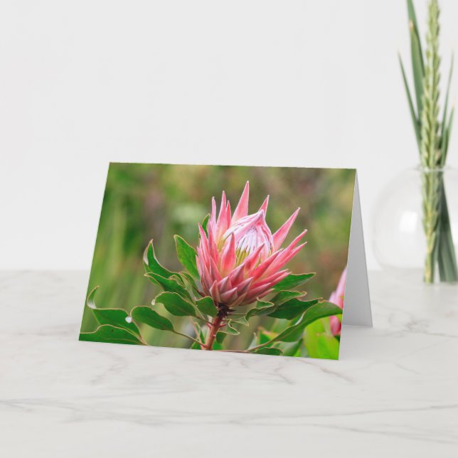 Tarjeta Alcanzar el cielo (Anverso)