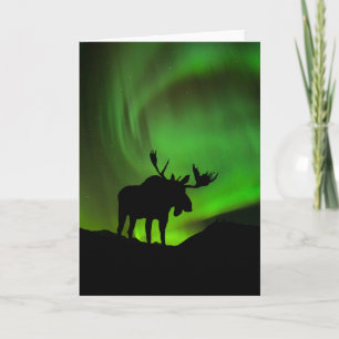 Tarjeta Alce con Aurora Boreal verde, Alaska