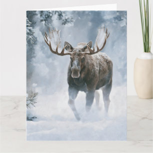 Tarjeta Alce macho caminando por la nieve boreal