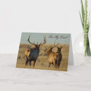 Tarjeta Alces de E28 Bull
