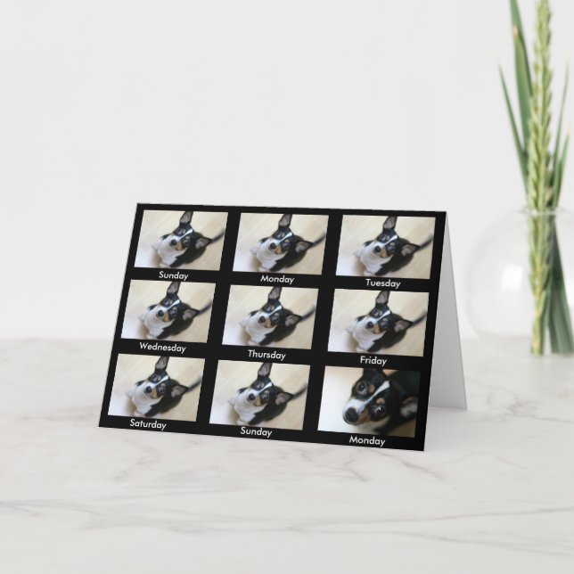 Tarjeta Alcohólicos Anónimos "Sigue regresando..." (Anverso)