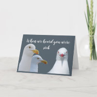 Alégrate el humor de todas las gaviotas griegas