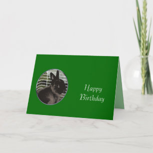 Tarjeta Alegre conejo negro lindo feliz cumpleaños