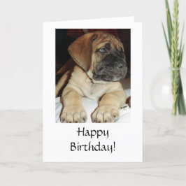 Tarjeta Alegre foto de picapia en inglés - Feliz cumpleaño