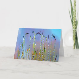 Tarjeta Alegres, serenas, historias en el excremento de la