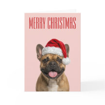 Alegría de Navidad con Bulldog Francés