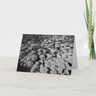 Tarjeta Alegría de sedum de otoño