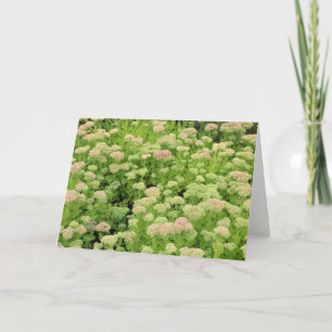 Tarjeta Alegría de sedum de otoño