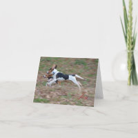 ¡Alegría! Notecards