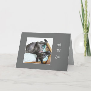 Tarjeta Aléjate Muy Pronto Humor Durmiente De Perro De Dan