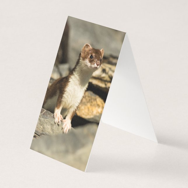 Tarjeta Alert Weasel (Reverso)