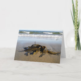 Tarjeta ¡Algas marinas!