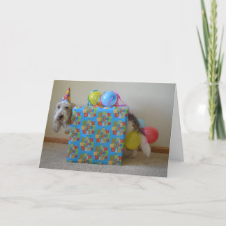 Tarjeta ¿Alguien pidió un regalo de cumpleaños?