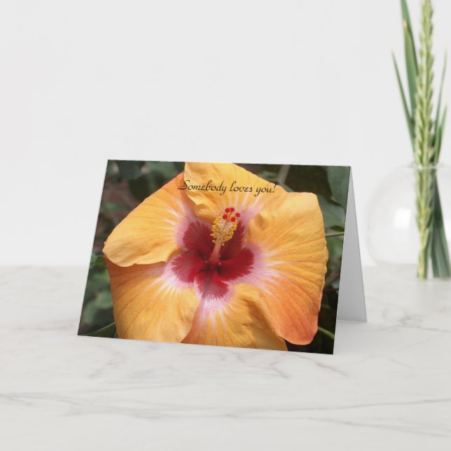 Tarjeta ¡Alguien te quiere! (Anverso)