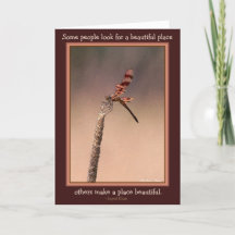 Algunos buscan un lugar de bonito y otros lo hacen