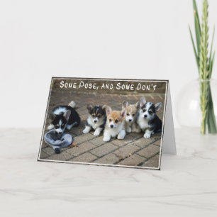 Tarjeta Algunos presentan, algunos no hacen los perritos