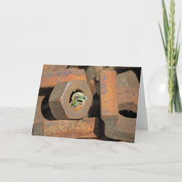 Tarjeta Alien Bolt-Hole