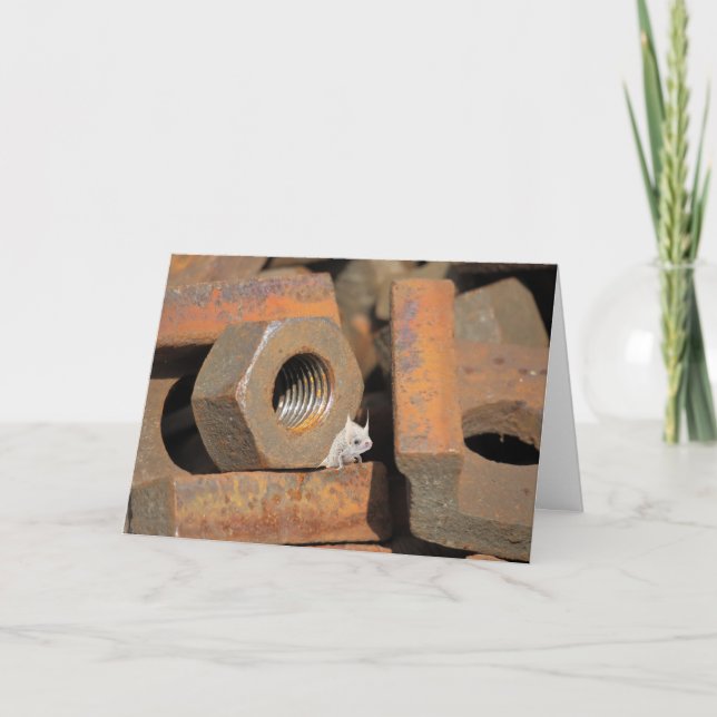 Tarjeta Alien Bolt-Hole (Anverso)