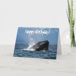 Tarjeta Alimentación de ballenas de joroba