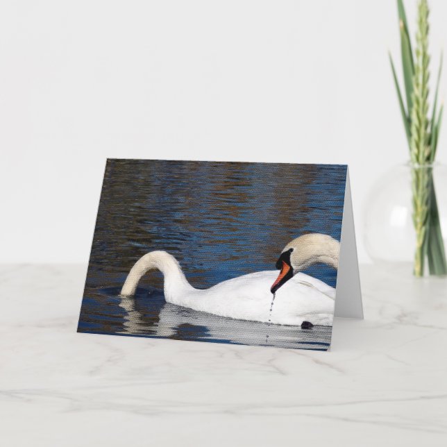 Tarjeta Alimentación de Swans (Anverso)