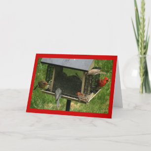 Tarjeta Alimentador de pájaros ocupado