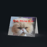 Tarjeta Allan Brother Birthday Persian Cat Humor<br><div class="desc">Allan Brother Birthday Persian Cat Humor Card
Allan Brother Birthday Persian Cat Humor Card. You can personalize this card to any name or text. This Persian cat is very empathetic. "Forget it! You look Meow-velous! (All all,  you are related to me!) Happy Birthday to a Great Brother!</div>