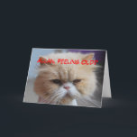 Tarjeta Allan Brother Birthday Persian Cat Humor<br><div class="desc">Allan Brother Birthday Persian Cat Humor Card
Allan Brother Birthday Persian Cat Humor Card. You can personalize this card to any name or text. This Persian cat is very empathetic. "Forget it! You look Meow-velous! (All all,  you are related to me!) Happy Birthday to a Great Brother!</div>