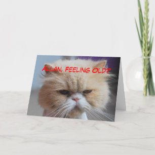 Tarjeta Allan Brother Birthday Persian Cat Humor