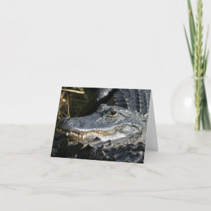 Tarjeta Alligador, Everglades Blank Notecard