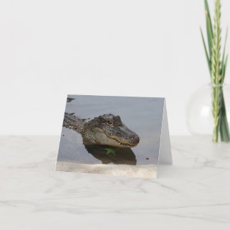 Tarjeta Alligator Note Card