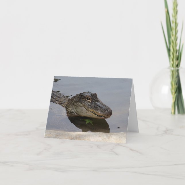 Tarjeta Alligator Note Card (Anverso)