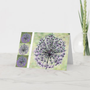 Tarjeta Allium