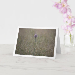 Tarjeta Allium, Allium Ampeloprasum, Wild Leek