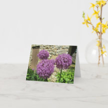 Tarjeta Allium (en blanco)