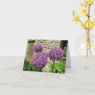 Tarjeta Allium (en blanco)