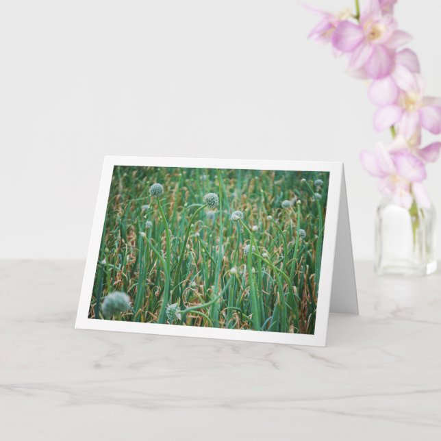 Tarjeta Allium, Flor de cebolla salvaje (Orquídea)