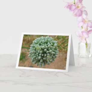 Tarjeta Allium, Flor de cebolla salvaje